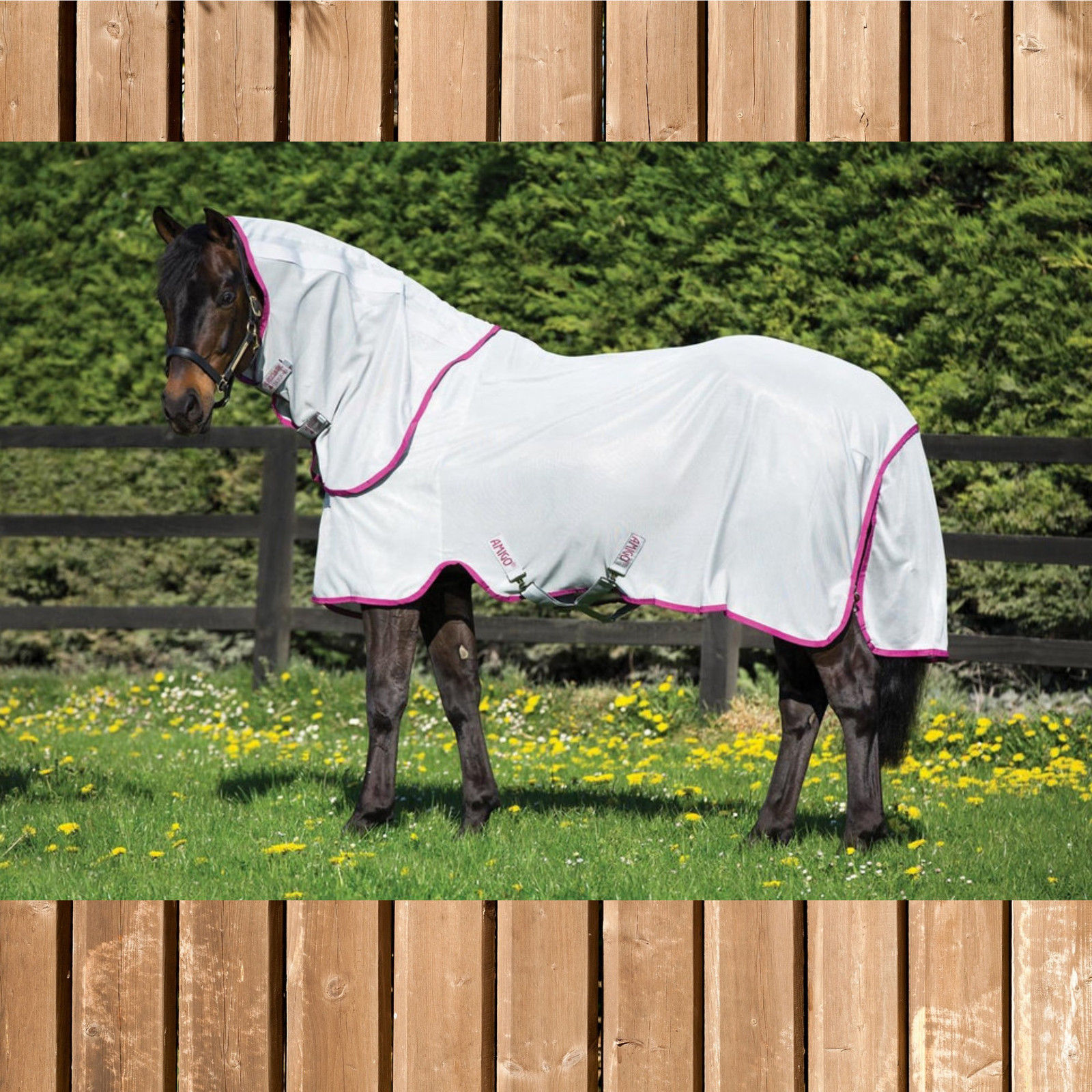 Horseware Fliegendecke Amigo Bug Rug